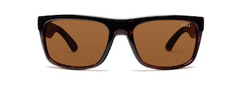 Shiny Demi Tortoise front view