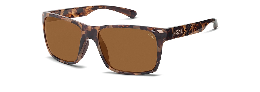 Colorado Tortoise BREWER quarter View