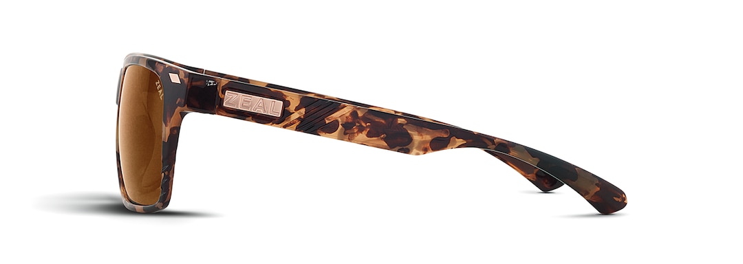 Colorado Tortoise BREWER side View