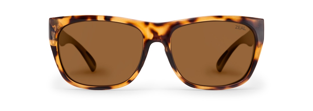 Colorado Tortoise CARSON front View