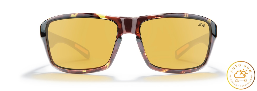 Tortoise INCLINE front View