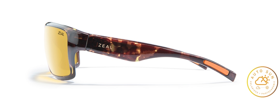 Tortoise INCLINE side View