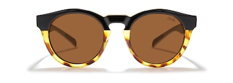 Black Tortoise front view